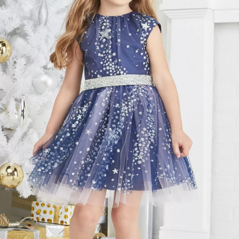 Halabaloo Fall 2019 Navy Christmas holiday dress 6
